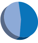 Market share of Steering Aids